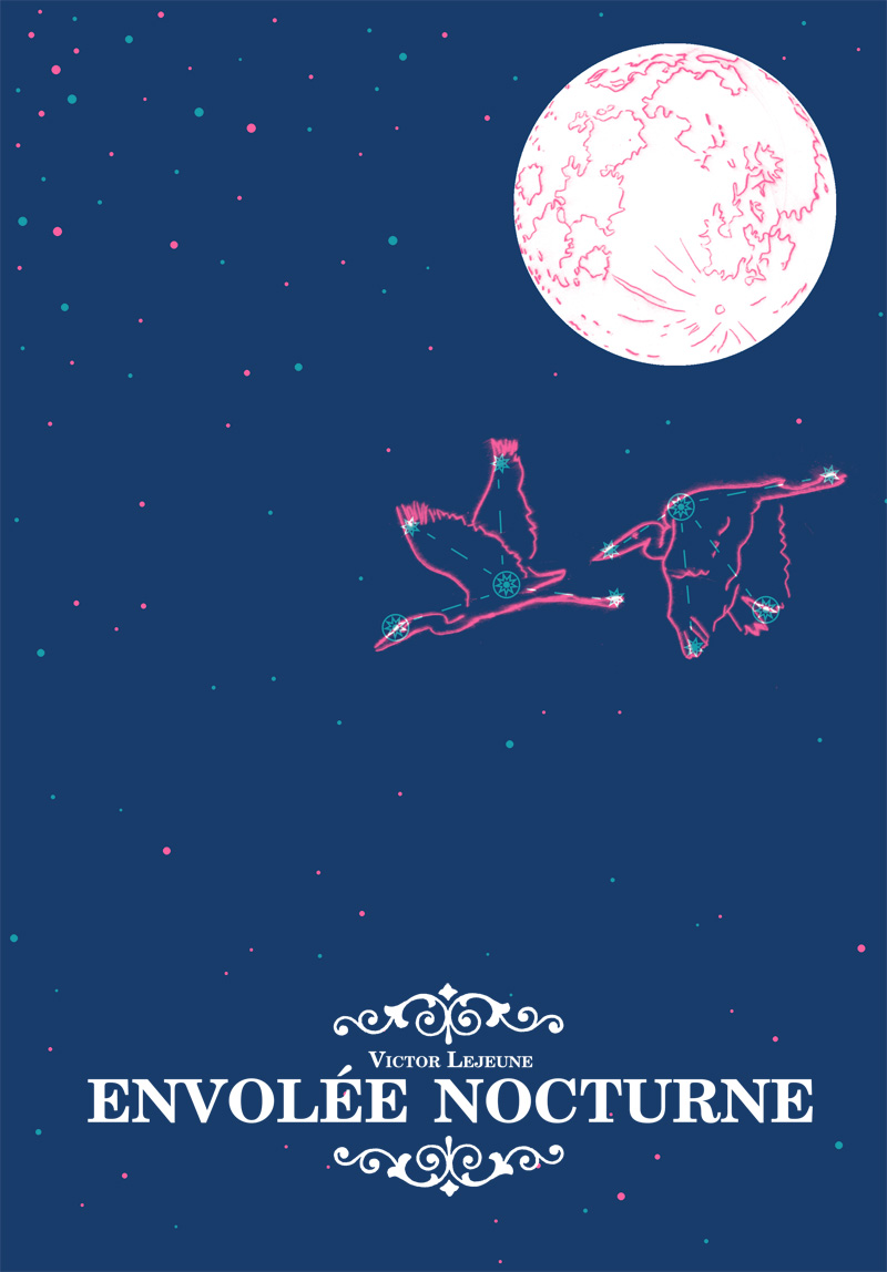 Envolée Nocturne